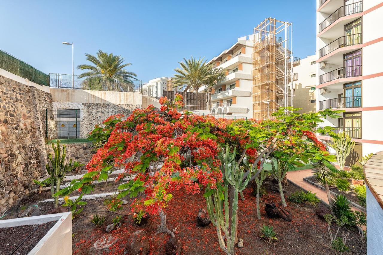 Pulpo Amarillo Apartment Playa del Ingles  Exterior foto